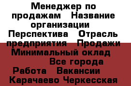 Менеджер по продажам › Название организации ­ Перспектива › Отрасль предприятия ­ Продажи › Минимальный оклад ­ 30 000 - Все города Работа » Вакансии   . Карачаево-Черкесская респ.